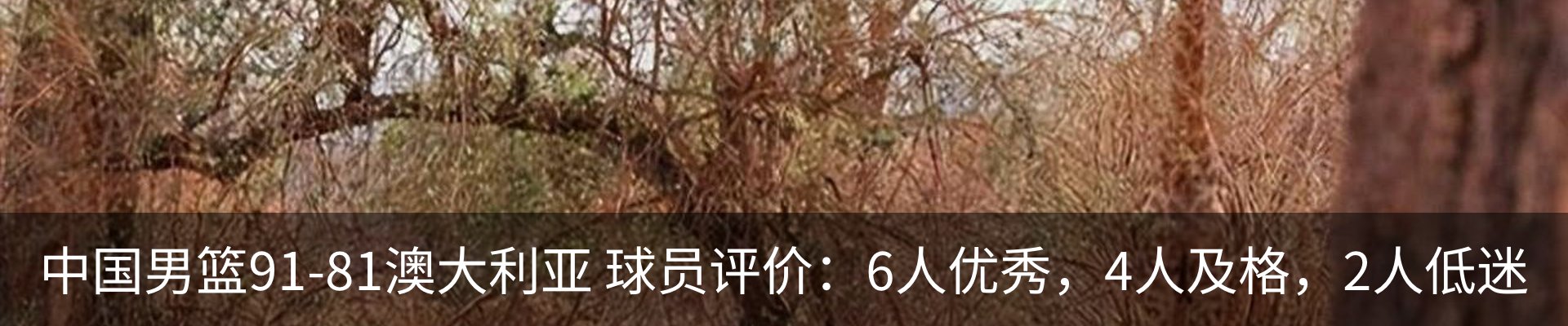 行业资讯